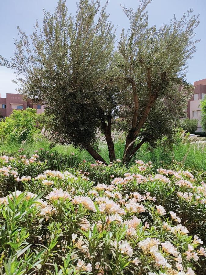 Prestigia Marrakech Dar Cheryana Marrakesz Zewnętrze zdjęcie